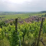 Renoves Avec Gout Au Coeur Du Vignoble, Route Des Vins, Alsace, Apartmán *