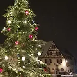 Renoves Avec Gout Au Coeur Du Vignoble, Route Des Vins, Alsace, Apartmán Gueberschwihr