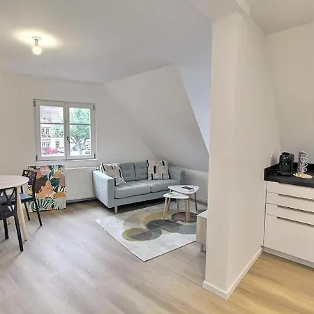 Renoves Avec Gout Au Coeur Du Vignoble, Route Des Vins, Alsace, Apartament *