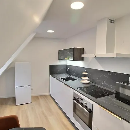 Renoves Avec Gout Au Coeur Du Vignoble, Route Des Vins, Alsace, Apartament *