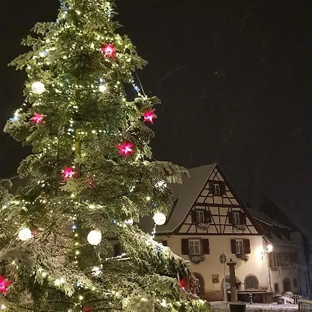 Renoves Avec Gout Au Coeur Du Vignoble, Route Des Vins, Alsace, Apartament Gueberschwihr