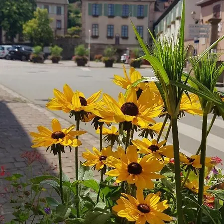 Apartament Renoves Avec Gout Au Coeur Du Vignoble, Route Des Vins, Alsace, Gueberschwihr