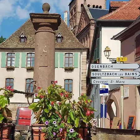 Renoves Avec Gout Au Coeur Du Vignoble, Route Des Vins, Alsace, * Gueberschwihr