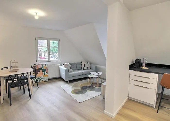 Renoves Avec Gout Au Coeur Du Vignoble, Route Des Vins, Alsace, Apartment *