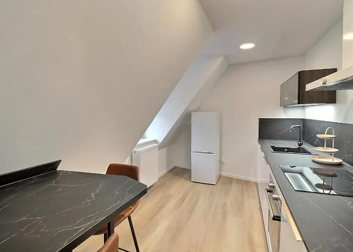 Apartment Renoves Avec Gout Au Coeur Du Vignoble, Route Des Vins, Alsace,