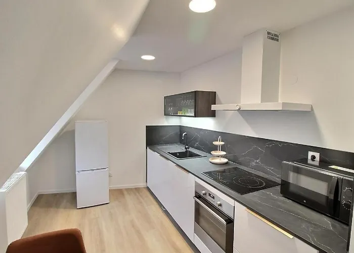 Renoves Avec Gout Au Coeur Du Vignoble, Route Des Vins, Alsace, Apartment *