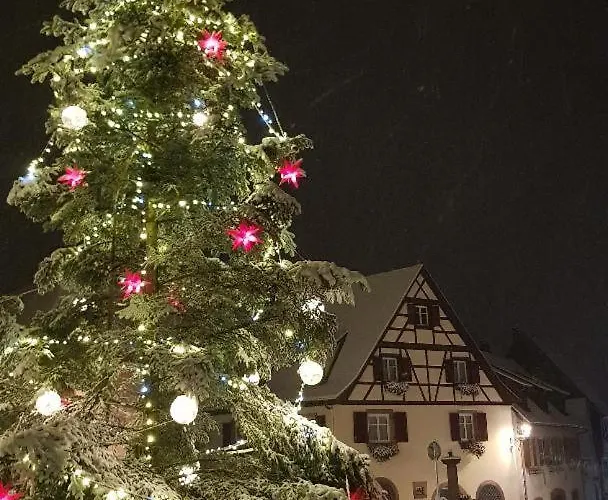 Renoves Avec Gout Au Coeur Du Vignoble, Route Des Vins, Alsace, Apartment Gueberschwihr