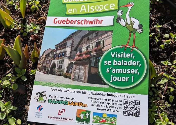 Renoves Avec Gout Au Coeur Du Vignoble, Route Des Vins, Alsace, * Gueberschwihr